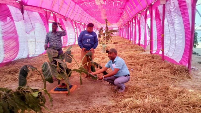 ‘छठको आदिभूमि’मा सर्वधर्म र सर्वजातको साझा पर्वको रुपमा मनाइयो छठ