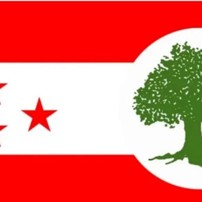 कांग्रेसको प्रतिज्ञाप्रति गैरआवासीय नेपाली खुशी, ११८ पेशाकर्मीले निकाले अपील