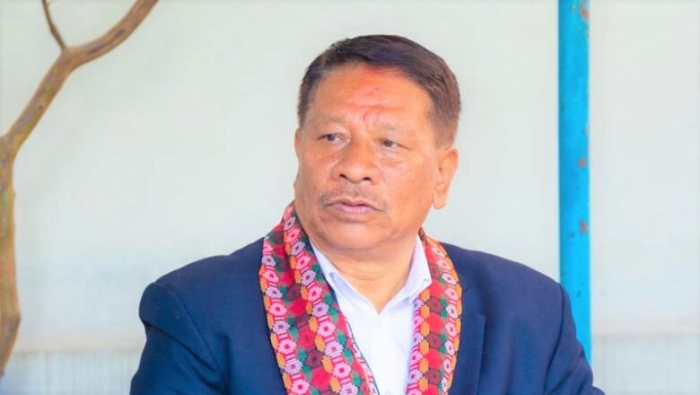 भाइटीकाकै दिन उपप्रधानमन्त्री सिंह इजिप्टको कायरो प्रस्थान