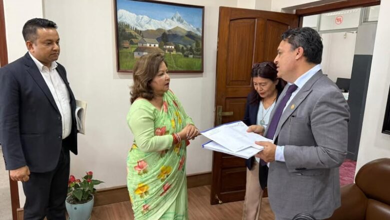 एनआरएनए ग्लोबल कन्क्लेभमा परराष्ट्र मन्त्री डा. आरजु राणाको विशेष उपस्थिति !
