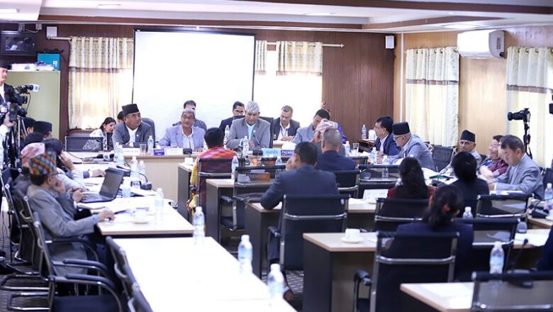 एनआरएन नागरिकता सम्बन्धी विधेयकको मस्यौदा तयार