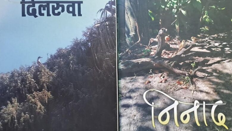 साहित्यकार तोया गुरुङका दुई साहित्यिक कृति बजारमा