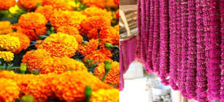 तिहारमा काठमाडौँमै ४५ लाख वटा सयपत्री र मलमलीको माला खपत हुने अनुमान
