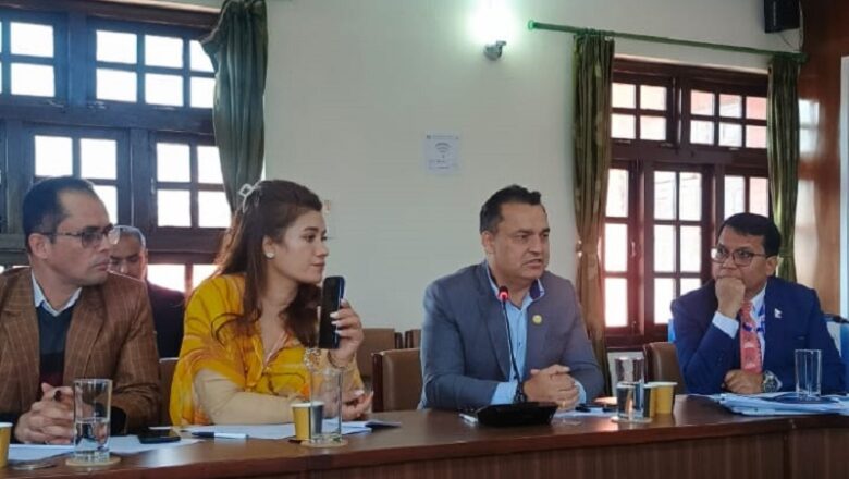 विदेशमा रहेका नेपालीलाई अनलाइन माध्यमबाट मताधिकार सुनिश्चित गर्नुपर्नेमा एनआरएनएको जोड