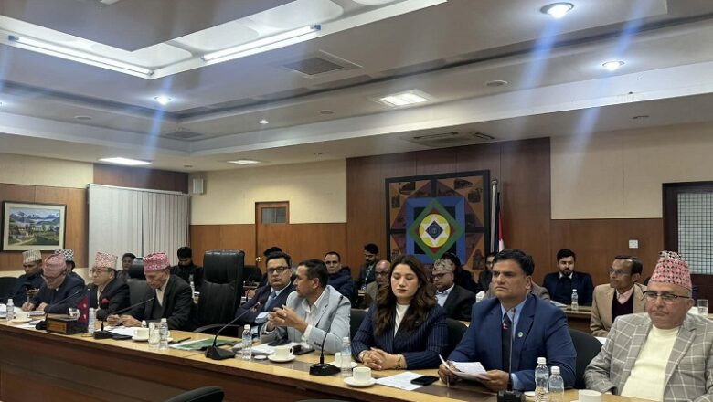 एनआरएनएको महाधिवेशन तयारी गर्न परराष्ट्रमन्त्री शर्माको संयोजकत्वमा उच्चस्तरीय समिति गठन