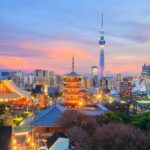 वैदेशिक रोजगार व्यवसायी कम्पनीबाट जापानमा श्रमिक पठाउने बाटो खुला