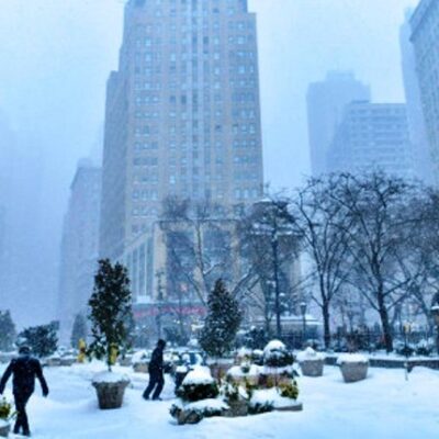 न्युयोर्क सहरमा चिसोका कारण १४ जनाको मृत्यु